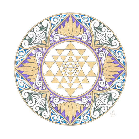 Lotus des Lichts